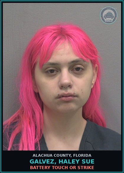 CCW arrest card for GALVEZ, HALEY SUE in Alachua County: BATTERY TOUCH OR STRIKE