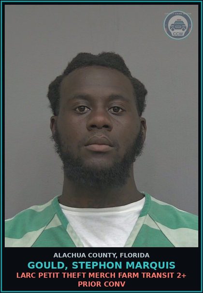 CCW arrest card for GOULD, STEPHON MARQUIS in Alachua County: LARC PETIT THEFT MERCH FARM TRANSIT 2+ PRIOR CONV