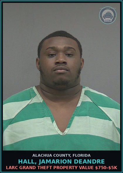 CCW arrest card for HALL, JAMARION DEANDRE in Alachua County: LARC GRAND THEFT PROPERTY VALUE $750-$5K
