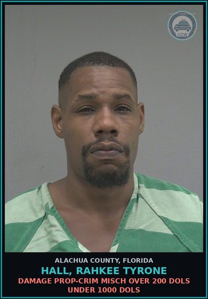 CCW arrest card for HALL, RAHKEE TYRONE in Alachua County: DAMAGE PROP-CRIM MISCH OVER 200 DOLS UNDER 1000 DOLS