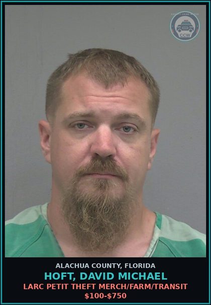 CCW arrest card for HOFT, DAVID MICHAEL in Alachua County: LARC PETIT THEFT MERCH/FARM/TRANSIT $100-$750