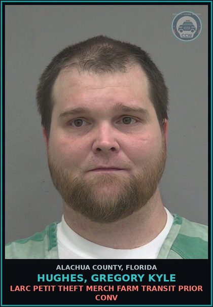 CCW arrest card for HUGHES, GREGORY KYLE in Alachua County: LARC PETIT THEFT MERCH FARM TRANSIT PRIOR CONV