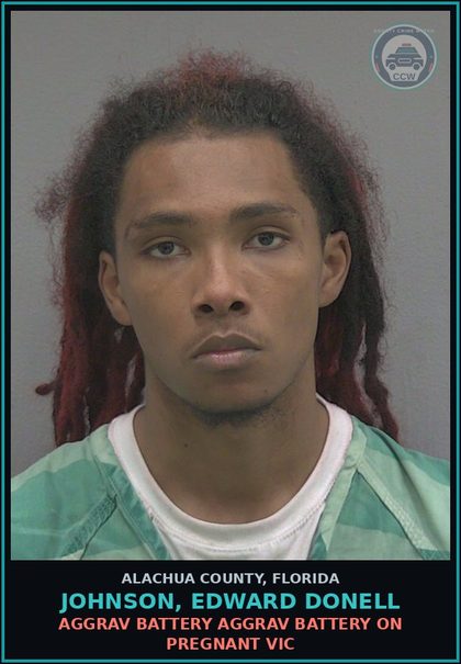 CCW arrest card for JOHNSON, EDWARD DONELL in Alachua County: AGGRAV BATTERY AGGRAV BATTERY ON PREGNANT VICTIM