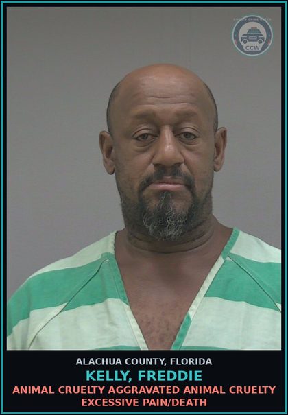 CCW arrest card for KELLY, FREDDIE in Alachua County: ANIMAL CRUELTY AGGRAVATED ANIMAL CRUELTY EXCESSIVE PAIN/DEATH
