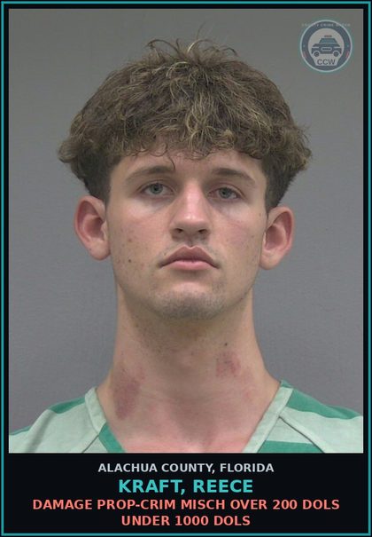 CCW arrest card for KRAFT, REECE in Alachua County: DAMAGE PROP-CRIM MISCH OVER 200 DOLS UNDER 1000 DOLS