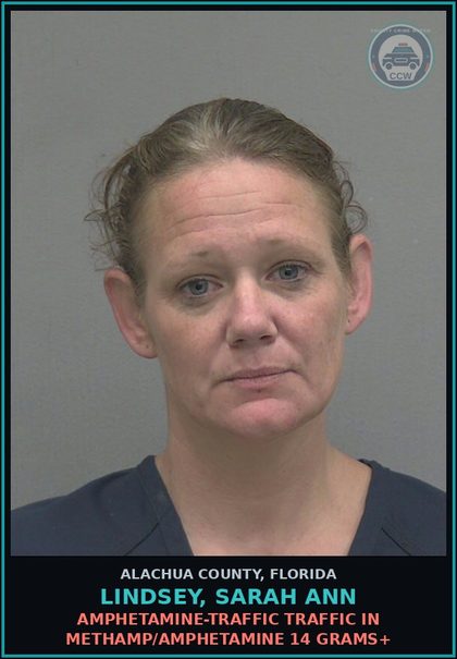 CCW arrest card for LINDSEY, SARAH ANN in Alachua County: AMPHETAMINE-TRAFFIC TRAFFIC IN METH/AMPHETAMINE 14 GRAMS+