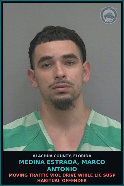CCW arrest card for MEDINA ESTRADA, MARCO ANTONIO in Alachua County: MOVING TRAFFIC VIOL DRIVE WHILE LIC SUSP HABITUAL OFFENDER