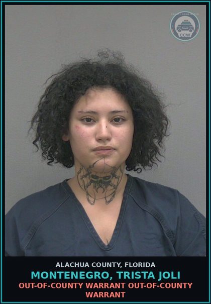 CCW arrest card for MONTENEGRO, TRISTA JOLI in Alachua County: OUT-OF-COUNTY WARRANT OUT-OF-COUNTY WARRANT