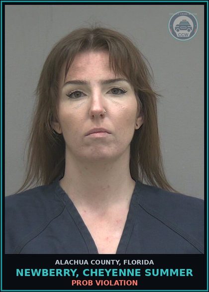 CCW arrest card for NEWBERRY, CHEYENNE SUMMER in Alachua County: PROB VIOLATION