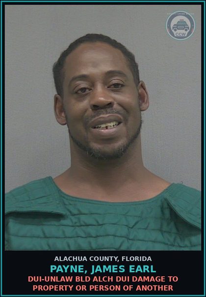 CCW arrest card for PAYNE, JAMES EARL in Alachua County: DUI-UNLAW BLD ALCH DUI DAMAGE TO PROPERTY OR PERSON OF ANOTHER