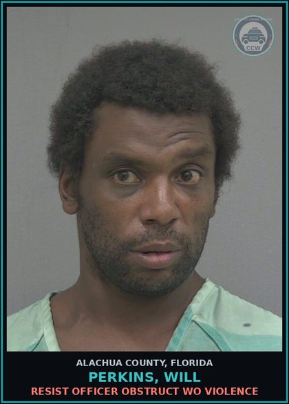 CCW arrest card for PERKINS, WILL in Alachua County: Canna-POSSESS POSSESS LESS THAN 20 GRAMS Canna