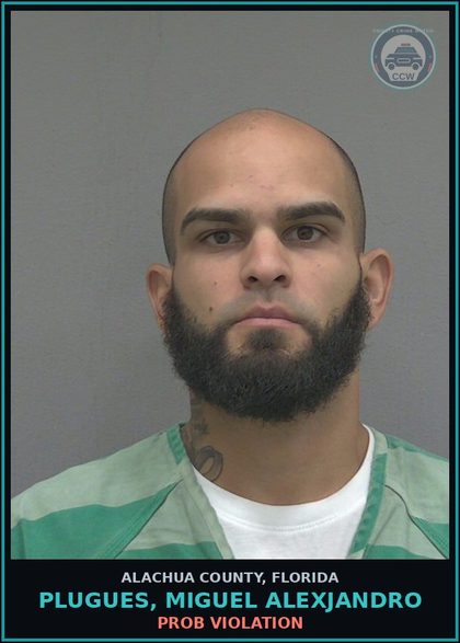 CCW arrest card for PLUGUES, MIGUEL ALEXJANDRO in Alachua County: PROB VIOLATION