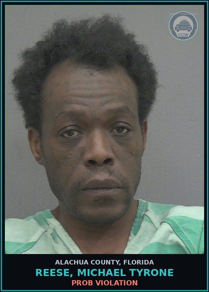 CCW arrest card for REESE, MICHAEL TYRONE in Alachua County: PROB VIOLATION