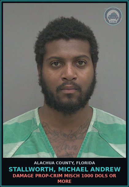 CCW arrest card for STALLWORTH, MICHAEL ANDREW in Alachua County: DAMAGE PROP-CRIM MISCH 1000 DOLS OR MORE