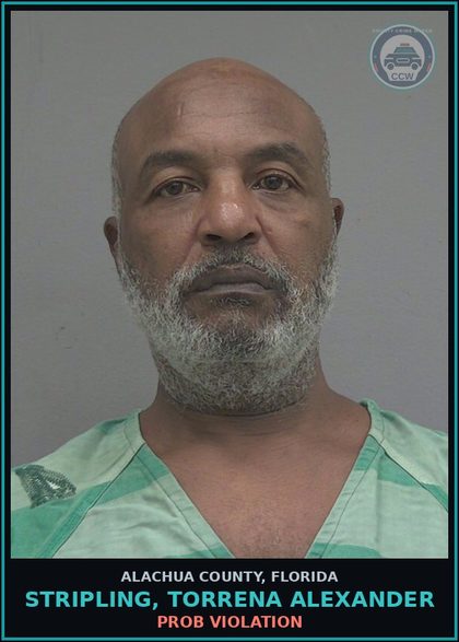 CCW arrest card for STRIPLING, TORRENA ALEXANDER in Alachua County: PROB VIOLATION