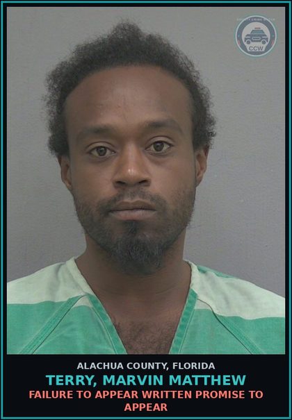 CCW arrest card for TERRY, MARVIN MATTHEW in Alachua County: FAILURE TO APPEAR WRITTEN PROMISE TO APPEAR