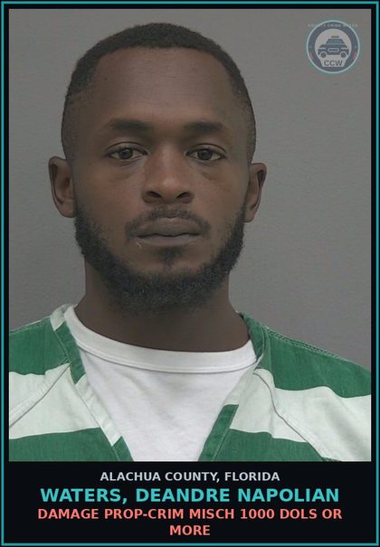 CCW arrest card for WATERS, DEANDRE NAPOLIAN in Alachua County: DAMAGE PROP-CRIM MISCH 1000 DOLS OR MORE