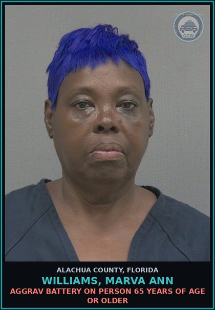 CCW arrest card for WILLIAMS, MARVA ANN in Alachua County: AGGRAV BATTERY ON PERSON 65 YEARS OF AGE OR OLDER