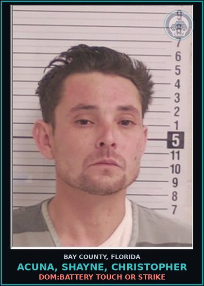 CCW arrest card for ACUNA, SHAYNE, CHRISTOPHER in Bay County: DOM:BATTERY TOUCH OR STRIKE