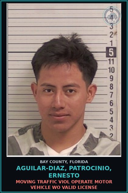 CCW arrest card for AGUILAR-DIAZ, PATROCINIO, ERNESTO in Bay County: MOVING TRAFFIC VIOL OPERATE MOTOR VEHICLE WO VALID LICENSE