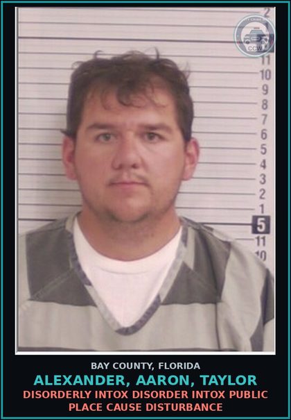 CCW arrest card for ALEXANDER, AARON, TAYLOR in Bay County: DISORDERLY INTOX DISORDER INTOX PUBLIC PLACE CAUSE DISTURBANCE