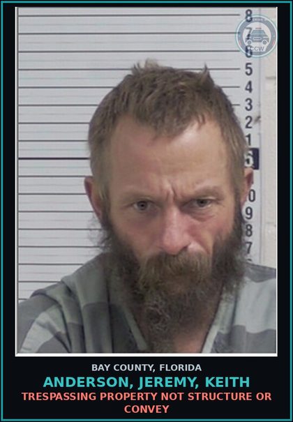 CCW arrest card for ANDERSON, JEREMY, KEITH in Bay County: TRESPASSING PROPERTY NOT STRUCTURE OR CONVEY