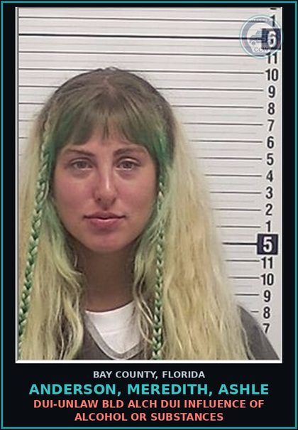 CCW arrest card for ANDERSON, MEREDITH, ASHLE in Bay County: DUI-UNLAW BLD ALCH DUI INFLUENCE OF ALCOHOL OR DRUGS