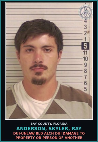 CCW arrest card for ANDERSON, SKYLER, RAY in Bay County: DUI-UNLAW BLD ALCH DUI DAMAGE TO PROPERTY OR PERSON OF ANOTHER