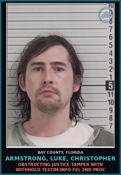CCW arrest card for ARMSTRONG, LUKE, CHRISTOPHER in Bay County: OBSTRUCTING JUSTICE TAMPER WITN WITHHOLD TESTIM/INFO FEL 2ND PROC