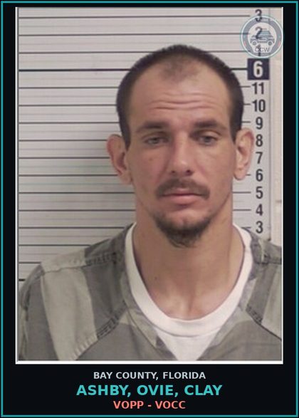 CCW arrest card for ASHBY, OVIE, CLAY in Bay County: VOPP - VOCC
