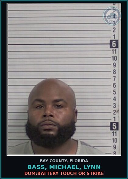 CCW arrest card for BASS, MICHAEL, LYNN in Bay County: DOM:BATTERY TOUCH OR STRIKE
