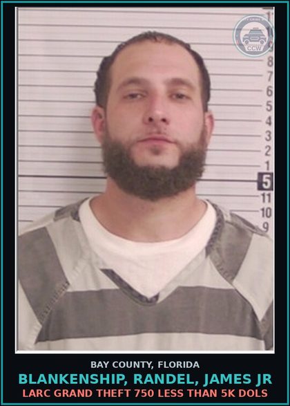 CCW arrest card for BLANKENSHIP, RANDEL, JAMES JR in Bay County: LARC GRAND THEFT 750 LESS THAN 5K DOLS