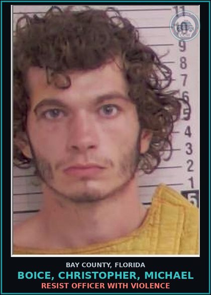 CCW arrest card for BOICE, CHRISTOPHER, MICHAEL in Bay County: FLEE/ELUDE POLICE FAIL TO OBEY LEO ORDER TO STOP