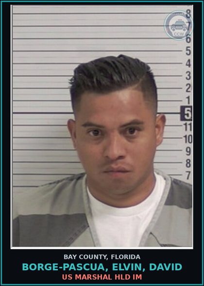 CCW arrest card for BORGE-PASCUA, ELVIN, DAVID in Bay County: US MARSHAL HLD IM