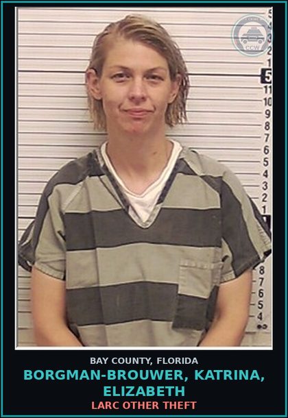CCW arrest card for BORGMAN-BROUWER, KATRINA, ELIZABETH in Bay County: LARC OTHER THEFT