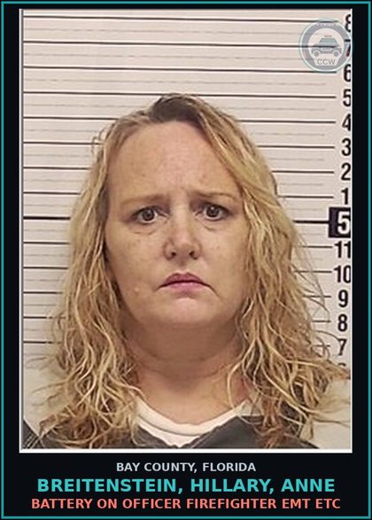 CCW arrest card for BREITENSTEIN, HILLARY, ANNE in Bay County: BATTERY ON OFFICER FIREFIGHTER EMT ETC
