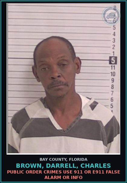 CCW arrest card for BROWN, DARRELL, CHARLES in Bay County: PUBLIC ORDER CRIMES USE 911 OR E911 FALSE ALARM OR INFO