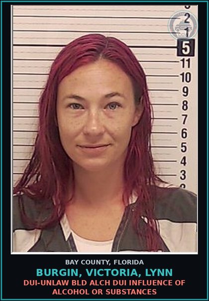 CCW arrest card for BURGIN, VICTORIA, LYNN in Bay County: DUI-UNLAW BLD ALCH DUI INFLUENCE OF ALCOHOL OR DRUGS