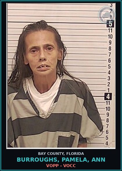 CCW arrest card for BURROUGHS, PAMELA, ANN in Bay County: VOPP - VOCC