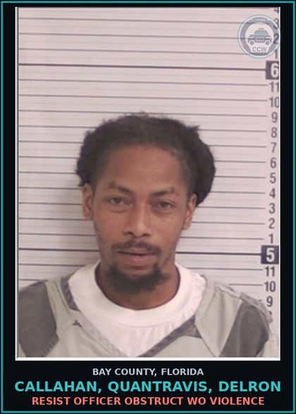 CCW arrest card for CALLAHAN, QUANTRAVIS, DELRON in Bay County: RESIST OFFICER OBSTRUCT WO VIOLENCE
