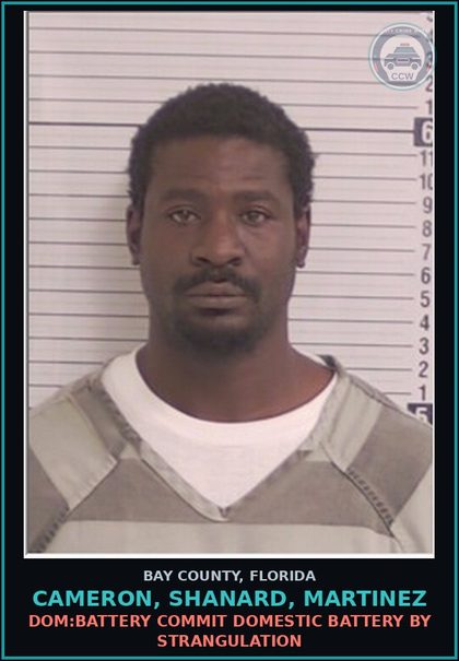 CCW arrest card for CAMERON, SHANARD, MARTINEZ in Bay County: DOM:BATTERY COMMIT DOMESTIC BATTERY BY STRANGULATION