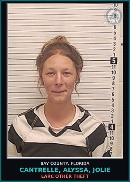 CCW arrest card for CANTRELLE, ALYSSA, JOLIE in Bay County: LARC OTHER THEFT