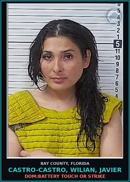 CCW arrest card for CASTRO-CASTRO, WILIAN, JAVIER in Bay County: DOM:BATTERY TOUCH OR STRIKE