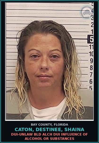 CCW arrest card for CATON, DESTINEE, SHAINA in Bay County: DUI-UNLAW BLD ALCH DUI INFLUENCE OF ALCOHOL OR DRUGS