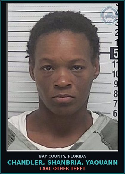 CCW arrest card for CHANDLER, SHANBRIA, YAQUANN in Bay County: LARC OTHER THEFT