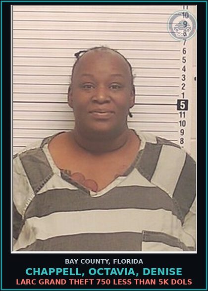 CCW arrest card for CHAPPELL, OCTAVIA, DENISE in Bay County: LARC GRAND THEFT 750 LESS THAN 5K DOLS