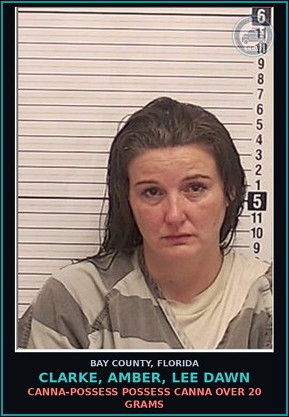 CCW arrest card for CLARKE, AMBER, LEE DAWN in Bay County: Canna-POSSESS POSSESS Canna OVER 20 GRAMS