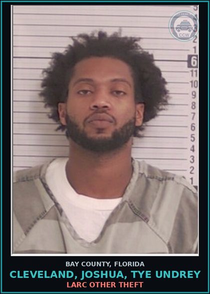 CCW arrest card for CLEVELAND, JOSHUA, TYE UNDREY in Bay County: LARC OTHER THEFT