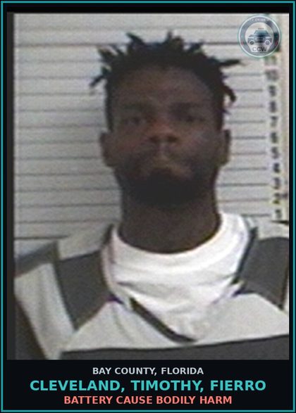 CCW arrest card for CLEVELAND, TIMOTHY, FIERRO in Bay County: BATTERY CAUSE BODILY HARM