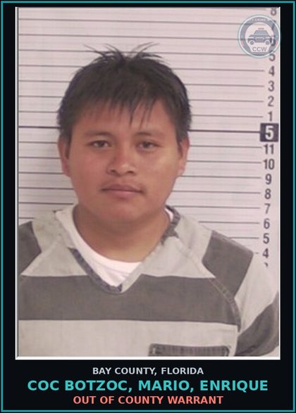 CCW arrest card for COC BOTZOC, MARIO, ENRIQUE in Bay County: OUT OF COUNTY WARRANT